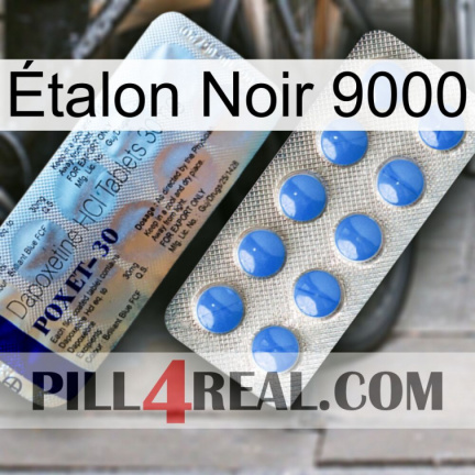 Étalon Noir 9000 39